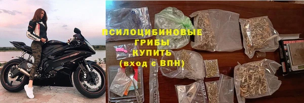 стаф Баксан
